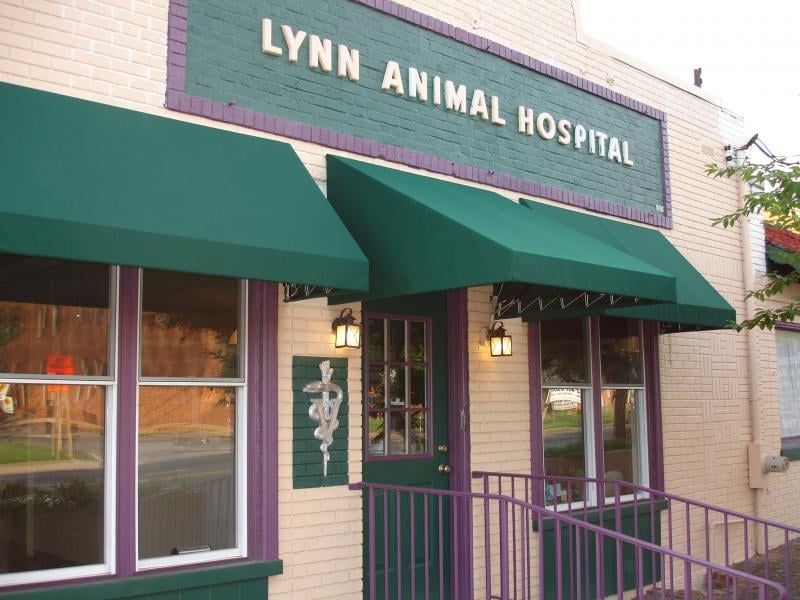 Lynn Animal Hospital 47 Reviews Veterinarians 6215 Baltimore Ave