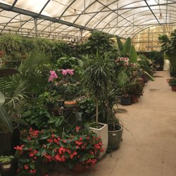 Whitfill Nursery 26 Photos 39 Reviews Nurseries Gardening Photo Of Whitfill Nursery Gilbert Az United States Green House For