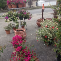 La Fortuna Gifts Plant Nurseries Gardening 3321 Blanco Photo Of La Fortuna Gifts Plant San Antonio Tx United States
