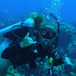 Rj Diving Closed Scuba 300 Alton Rd Miami Beach Fl Photo Of Rj Diving Miami Beach Fl United States Awesome Reef And
