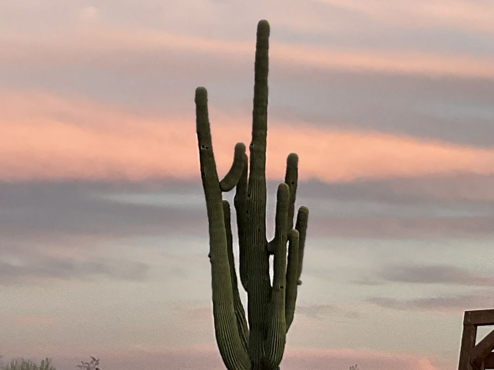 Yonder Luxury Vacation Rentals