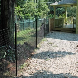 Photos For Pet Playgrounds Yelp Photo Of Pet Playgrounds West Haven Ct United States One Our