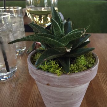 True Food Kitchen Scottsdale Reviews True Food Kitchen Scottsdale Reviews