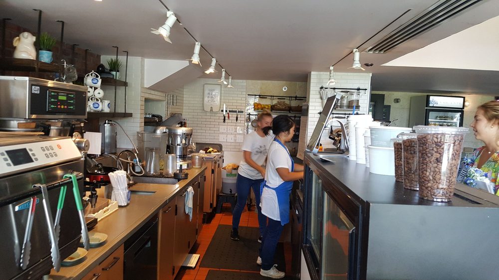 Blue Tree Café 523 Photos & 320 Reviews Coffee & Tea 1009