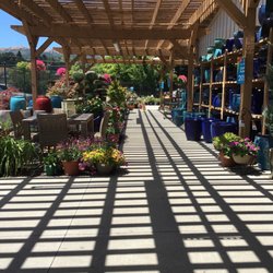 Armstrong Nursery Novato Thenurseries Armstrong Nursery Novato Thenurseries