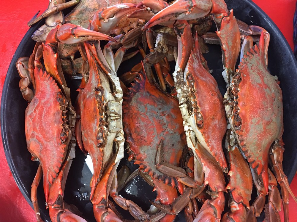 Seafood Palace 70 Photos & 88 Reviews Seafood 2218 Enterprise