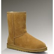 ugg washington dc ugg washington dc
