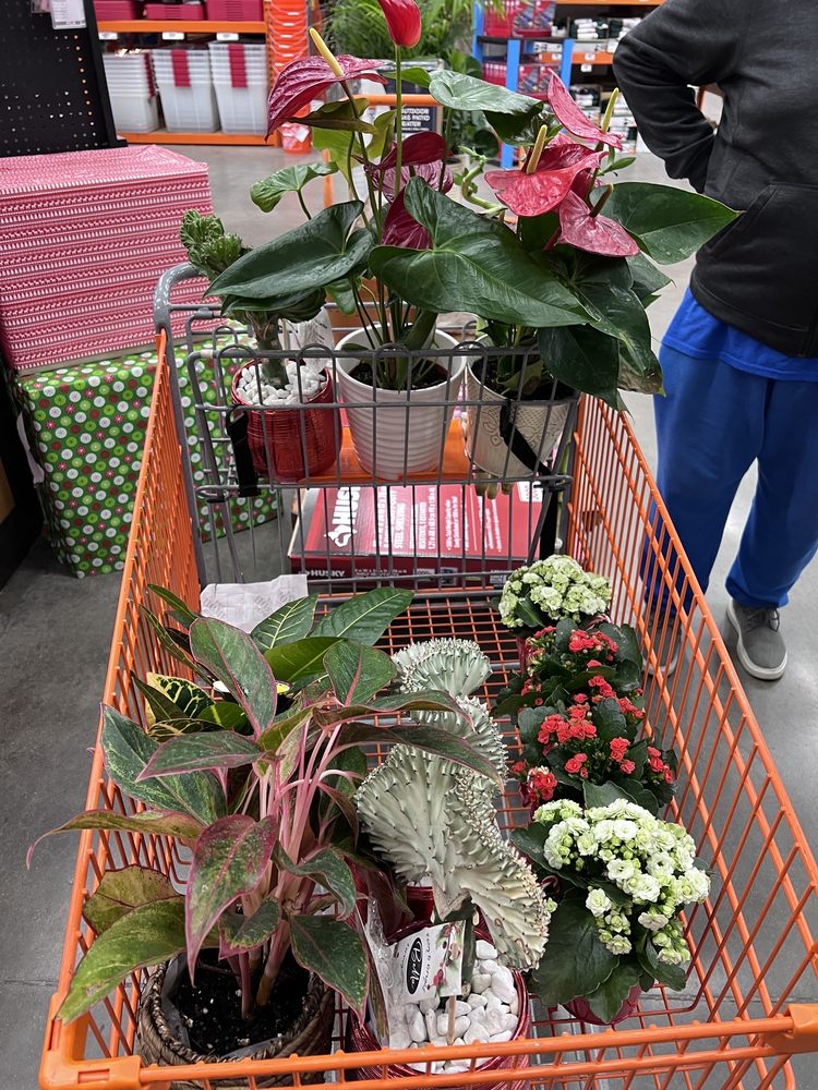 The Home Depot