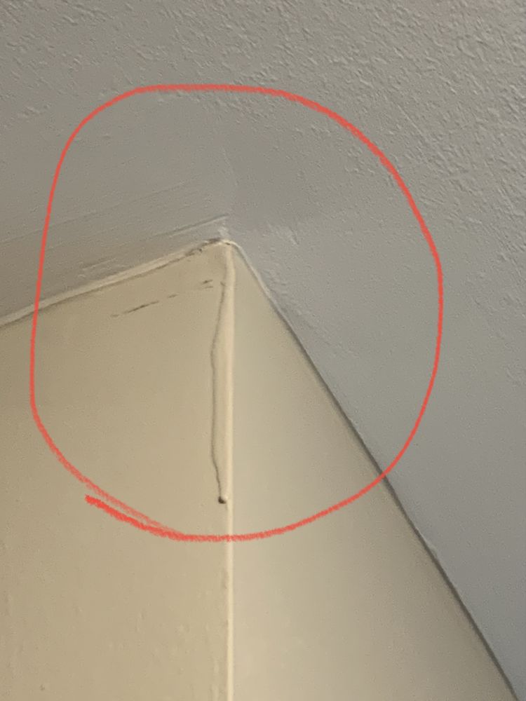 Venturi Restoration- Raleigh