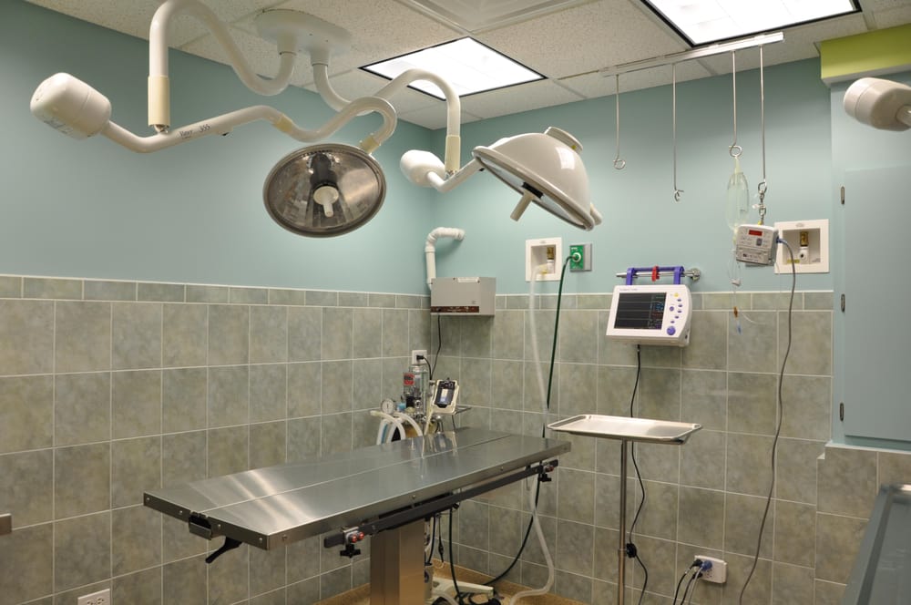 Pulaski Animal Hospital 32 Photos & 62 Reviews Veterinarians 5424