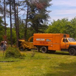 tree service greensboro wiley's landscaping photo of shelton tree service greensboro nc united states 21 photos services 730 westland dr tree service greensboro wiley's landscaping photo of shelton tree service greensboro nc united states 21 photos services 730 westland dr