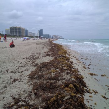 South Beach 1627 Photos 381 Reviews Beaches Miami Fl Photo Of South Beach Miami Fl United States