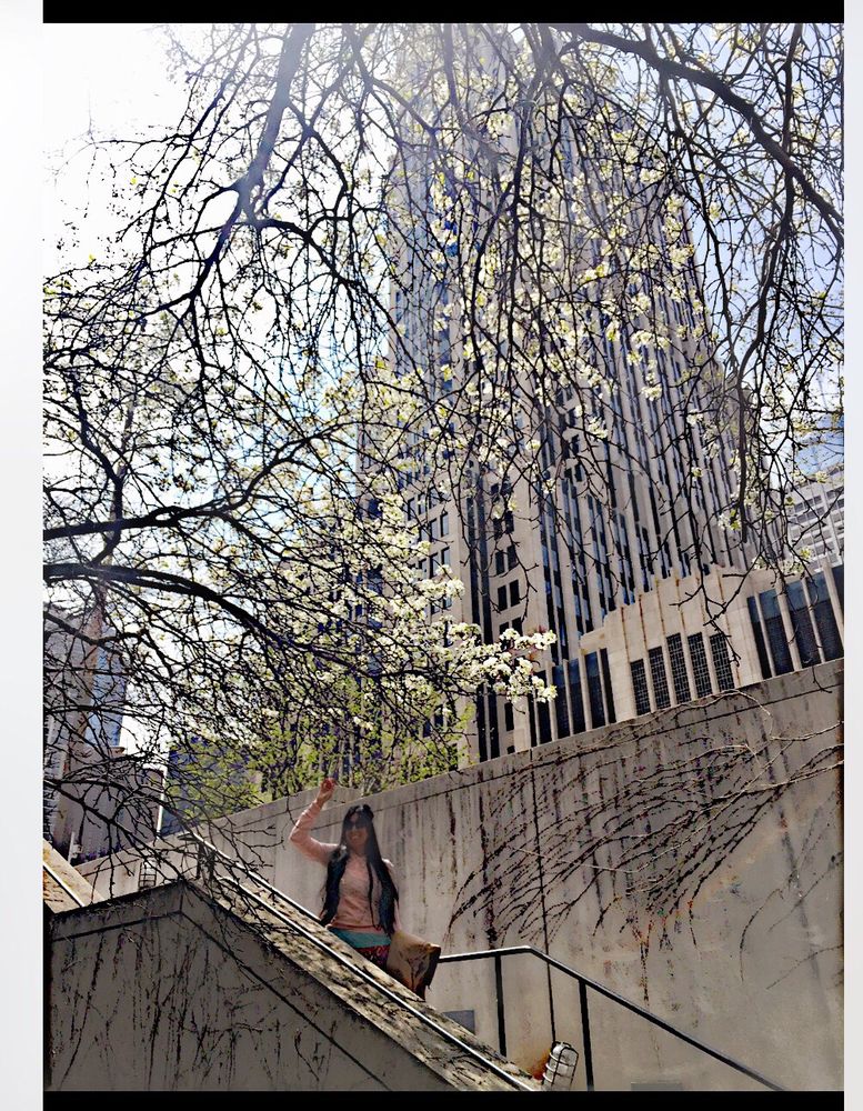 Ogden Plaza Park 12 Photos Parking 300 E North Water St, Near