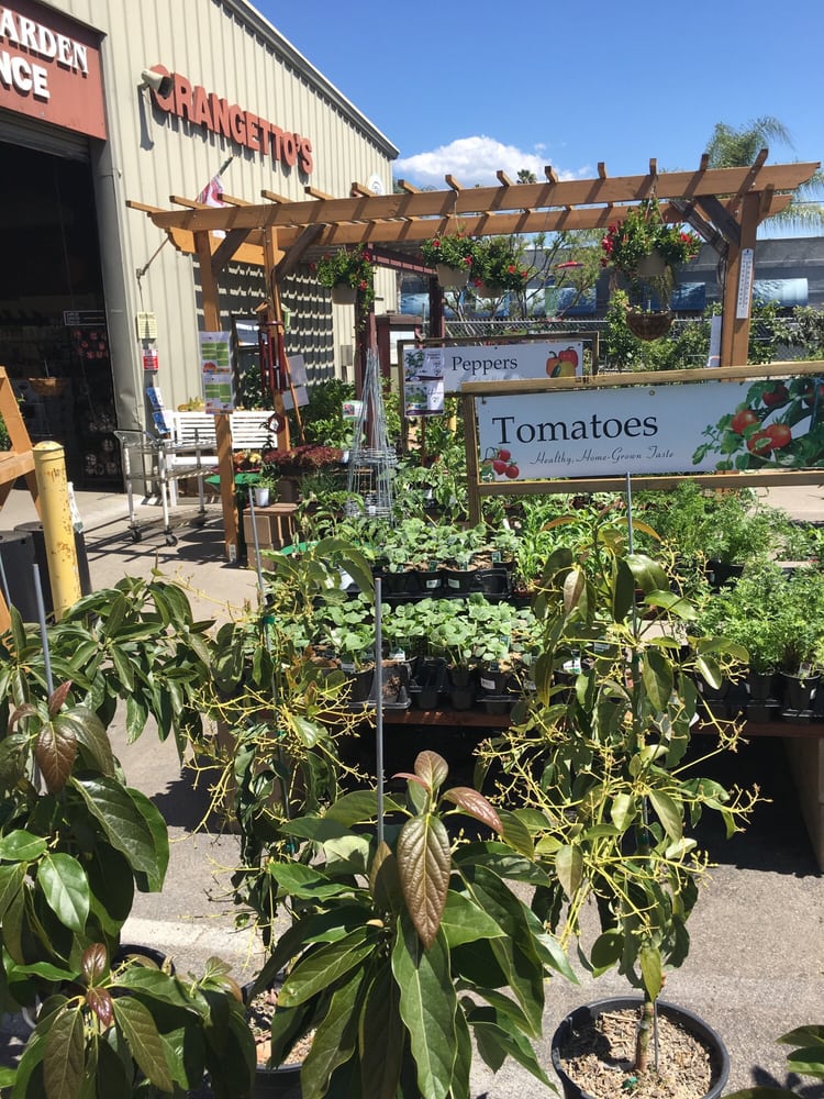 Grangetto’s Farm & Garden Supply 11 Photos & 19 Reviews Nurseries