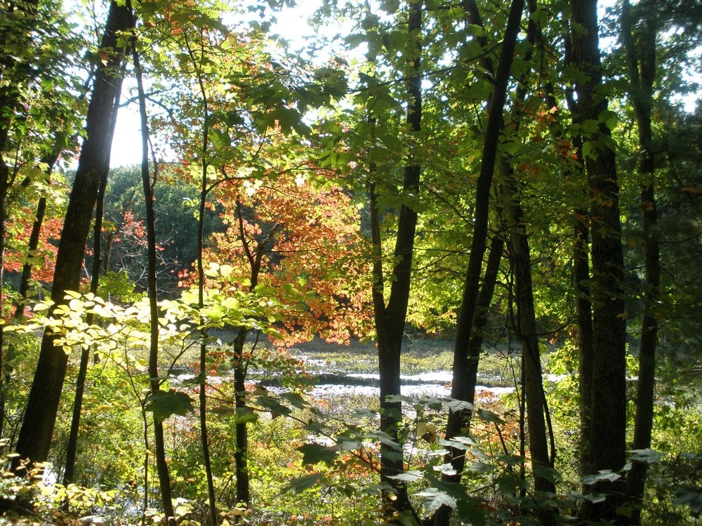Salem Town Forest Parks 222 Shadow Lake Rd, Salem, NH Yelp