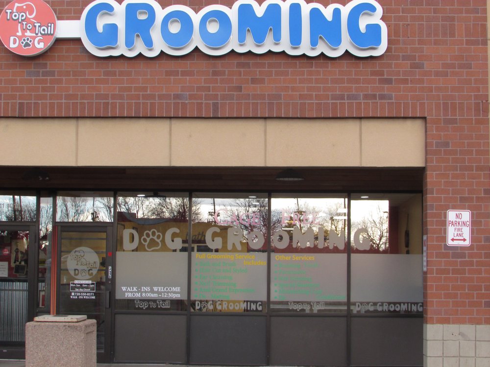 Top To Tail Dog Grooming 41 Photos & 16 Reviews Pet Groomers 311
