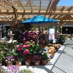 Armstrong Garden Centers 10 Photos 22 Reviews Nurseries Photo Of Armstrong Garden Centers Del Mar Ca United States