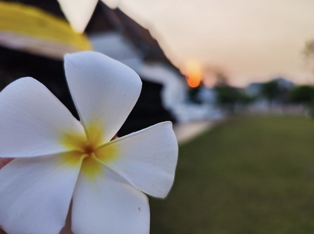 Leelawadee Thai Spa