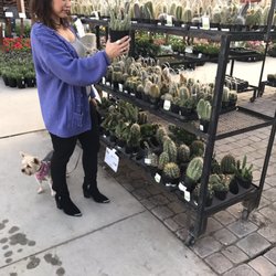 Star Nursery 54 Photos 29 Reviews Nurseries Gardening 9480 Photo Of Star Nursery Las Vegas Nv United States Weekly Visit