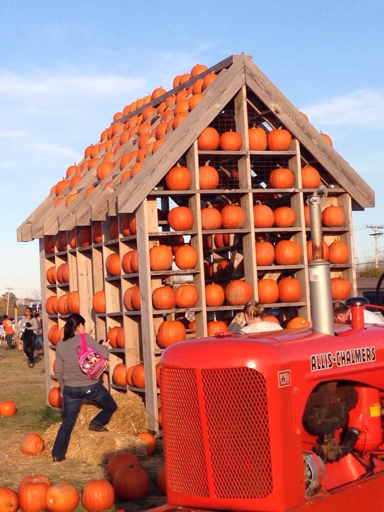 Odyssey Fun World 114 Photos & 93 Reviews Amusement Parks 19111