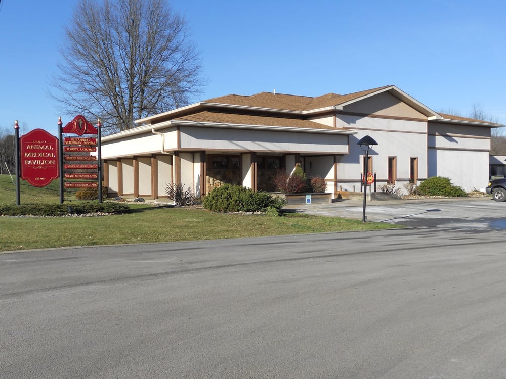 Kittanning Veterinary Hospital Veterinarians 170 E Brady Rd