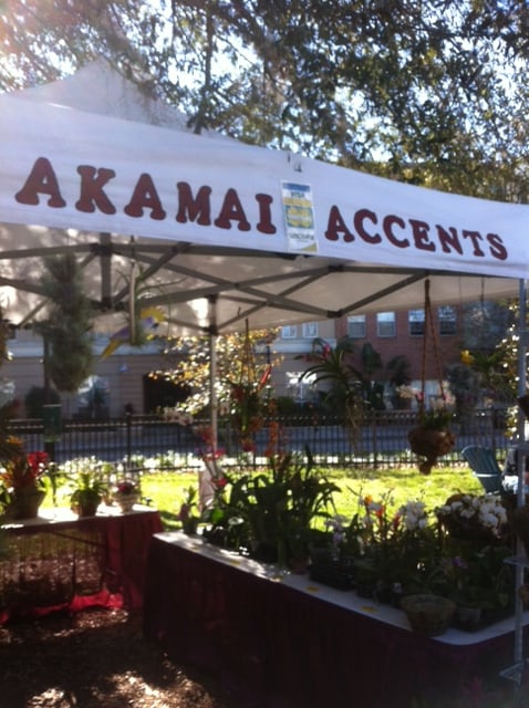 Akamai Accents