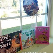 discovery point preschools 5203 lutz lake fern rd lutz fl