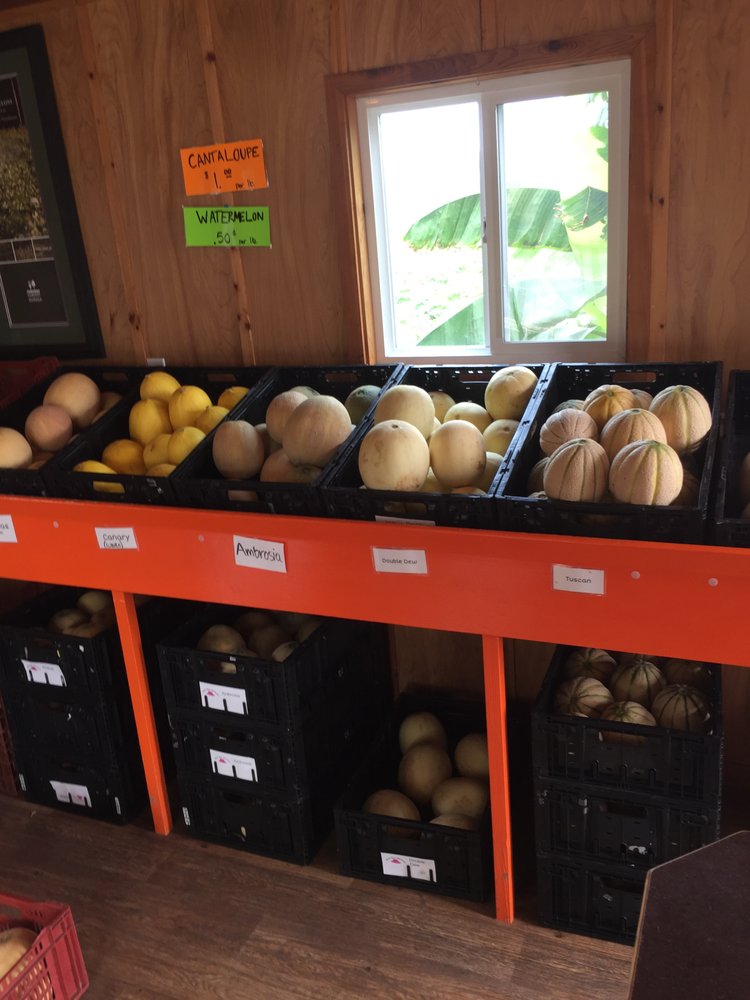 The Melon Shack Attraction Farms NE Garden Ave, Corvallis, OR
