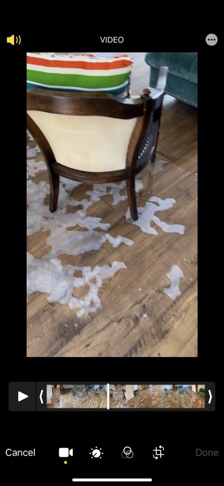 image of business Go Flooring