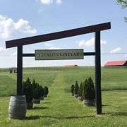 Talon Winery & Vineyard - 98 Photos & 67 Reviews - Wineries - 7086 ...
