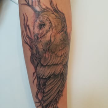 Photo Of Mellow Madness Tattoo Parlor Rochester Ny United States New Owl Photo Of Mellow Madness Tattoo Parlor Rochester Ny United States New Owl