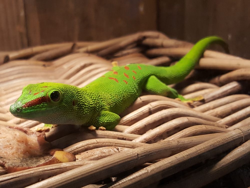 South Carolina Aquarium 398 Photos & 190 Reviews Aquariums 100