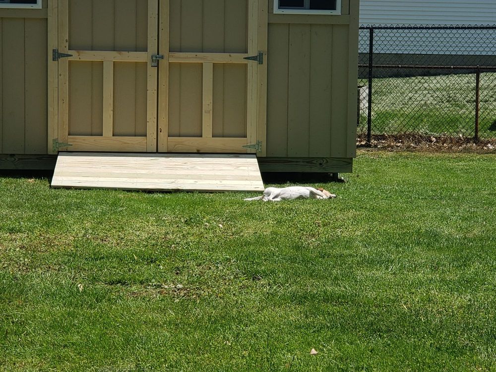 image of business Blue Ribbon Mini Barns