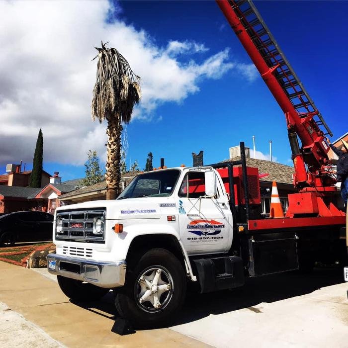 image of business Longhorn Maintenance Heating & Cooling