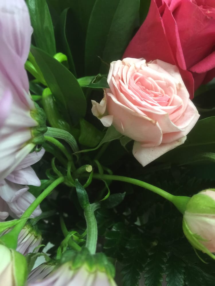 Red Rose Florist 14 Photos & 15 Reviews Florists 2004 Centre