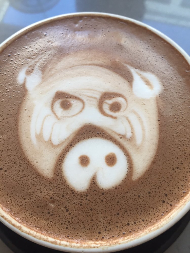 Photo Of Public Domain Coffee Portland Or United States Requested Teddy Bear Photo Of Public Domain Coffee Portland Or United States Requested Teddy Bear