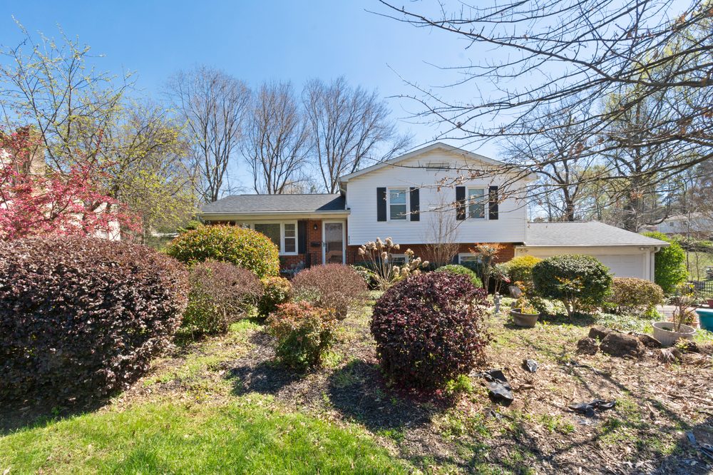 Amy Smith Dupree, Realtor