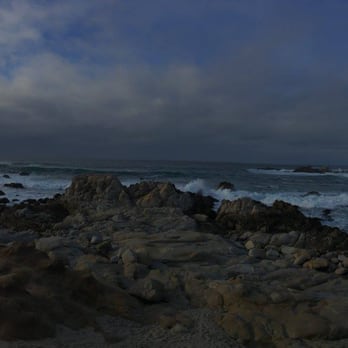 Asilomar State Beach 726 Photos 177 Reviews Parks 1950 Photo Of Asilomar State Beach Pacific Grove Ca United States My Hy