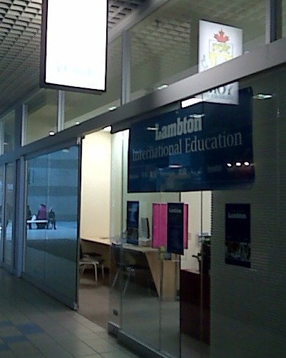 York College of Business