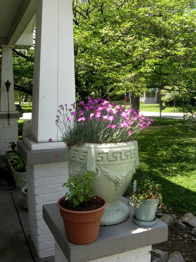 Gardens of Babylon - 66 Photos & 36 Reviews - Nurseries & Gardening