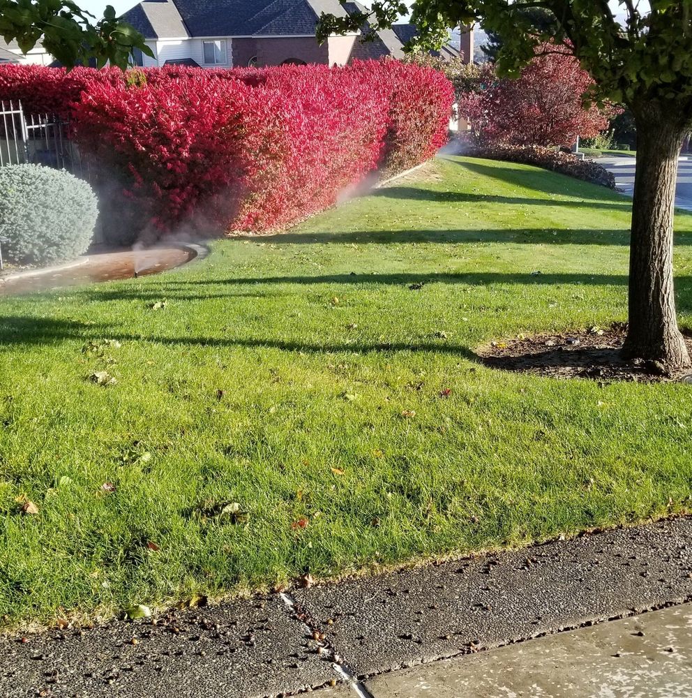 VM General Landscaping and Lawn Care