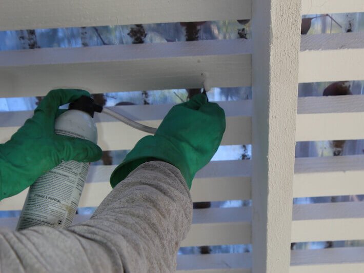 Wild Wild Pest Control