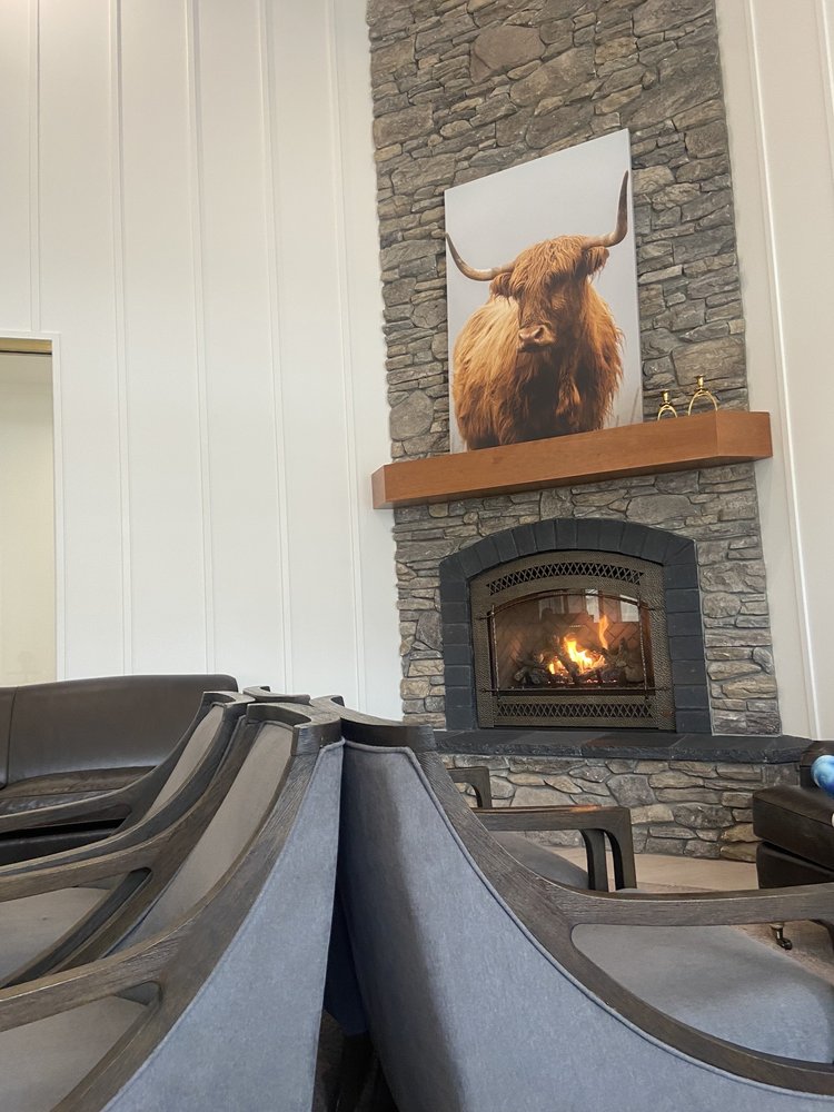 image of business Village Dental