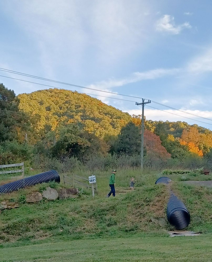 Hickory Nut Gap Farm