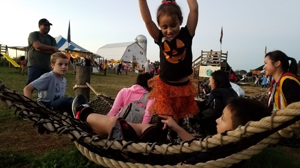 The Corn Maze in the Plains