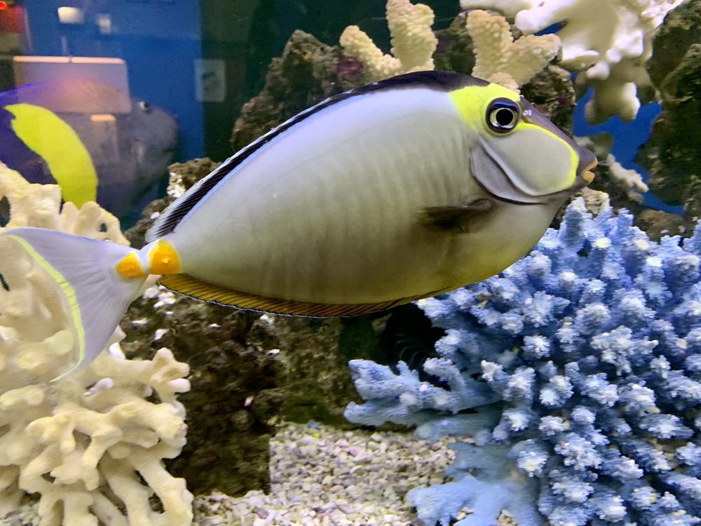 image of business Alan Gonick, DMD - Greenleaf Dental Care