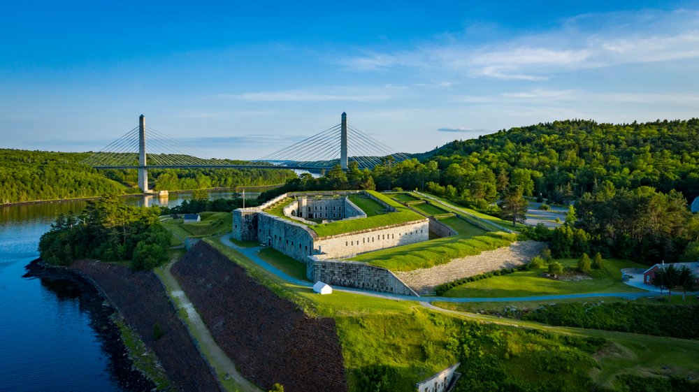 Pointer Aerial Photography