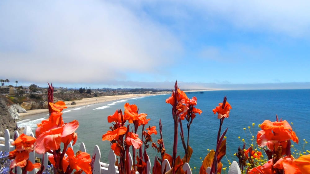 Julie Walker  - Central Coast Realty Group