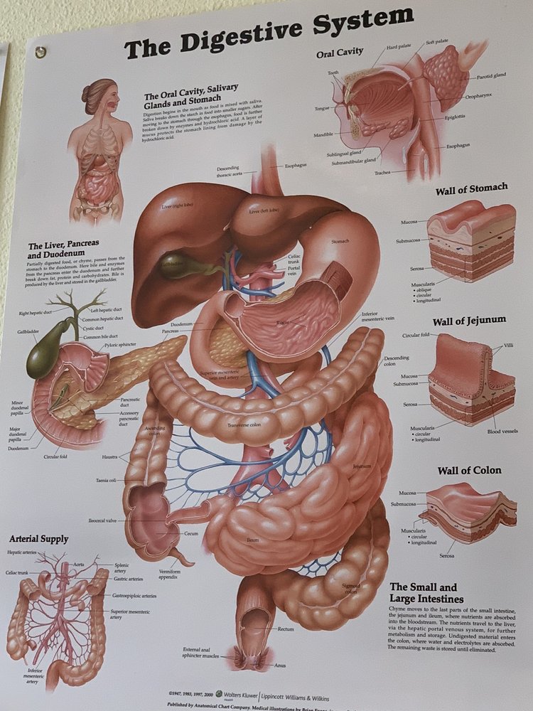 European Rejuvenation Center