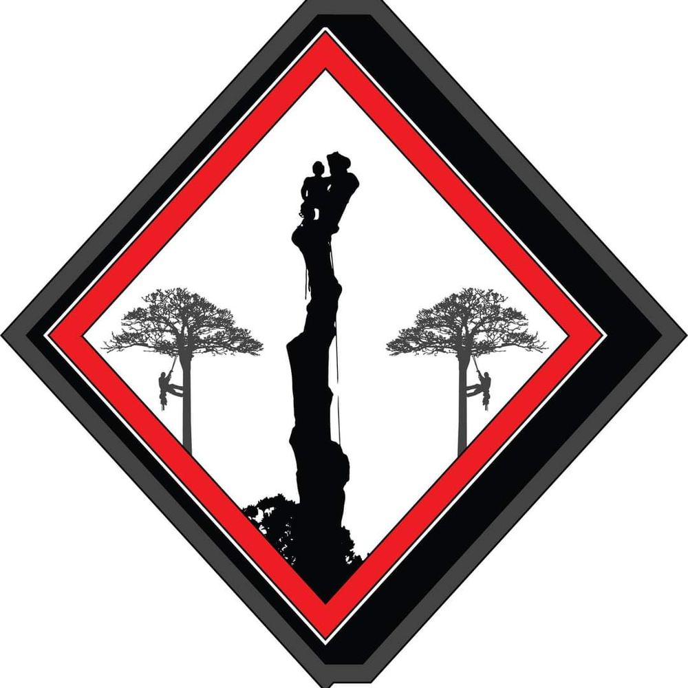 Diamond Tree Service formerly Weems Tree and Landscape Service